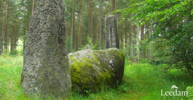 Recumbent stone with cup marks