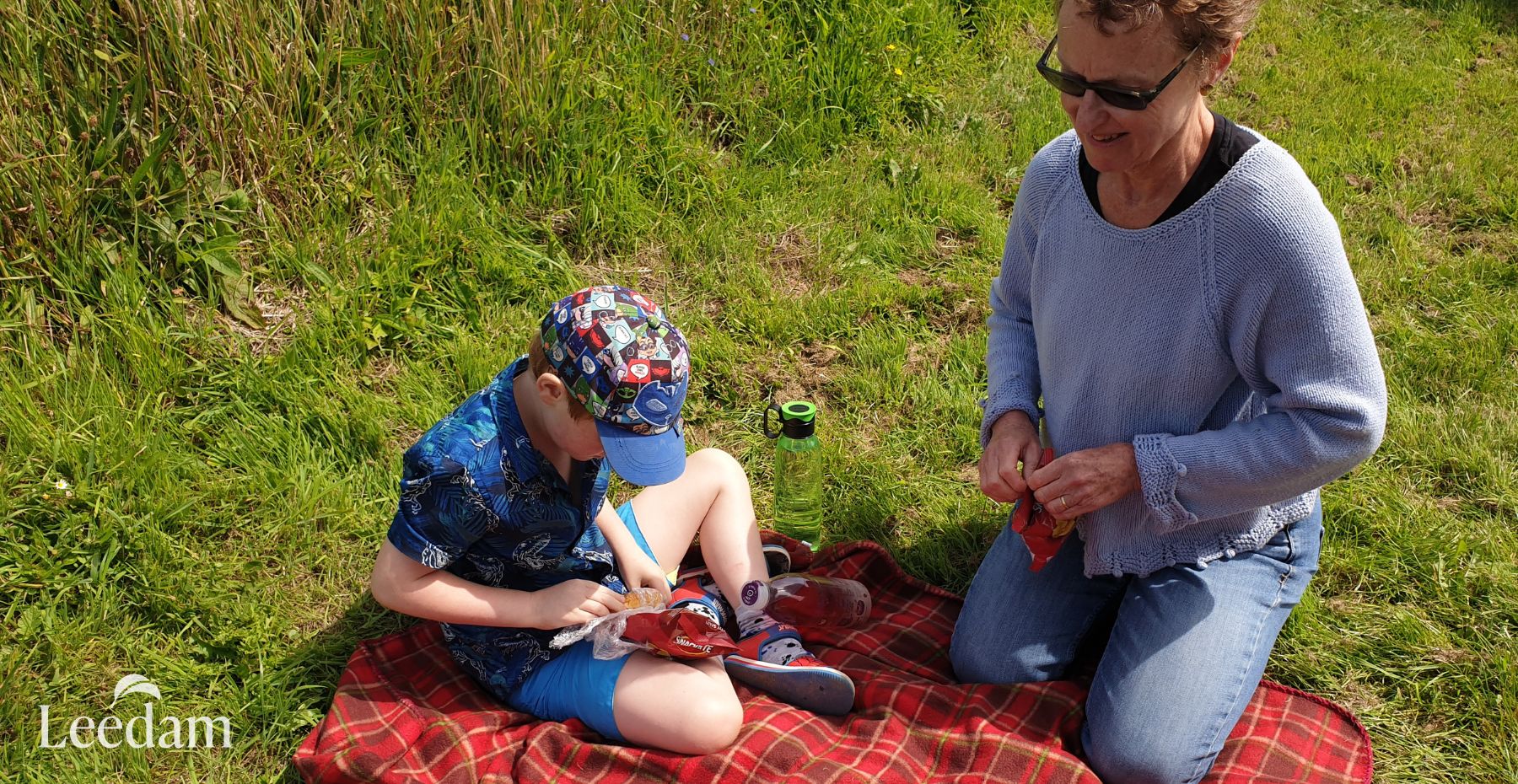 Memorial Picnic