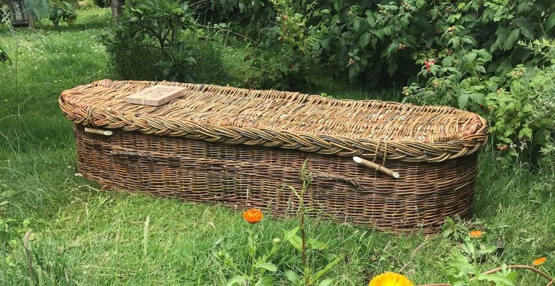 Willow Coffin