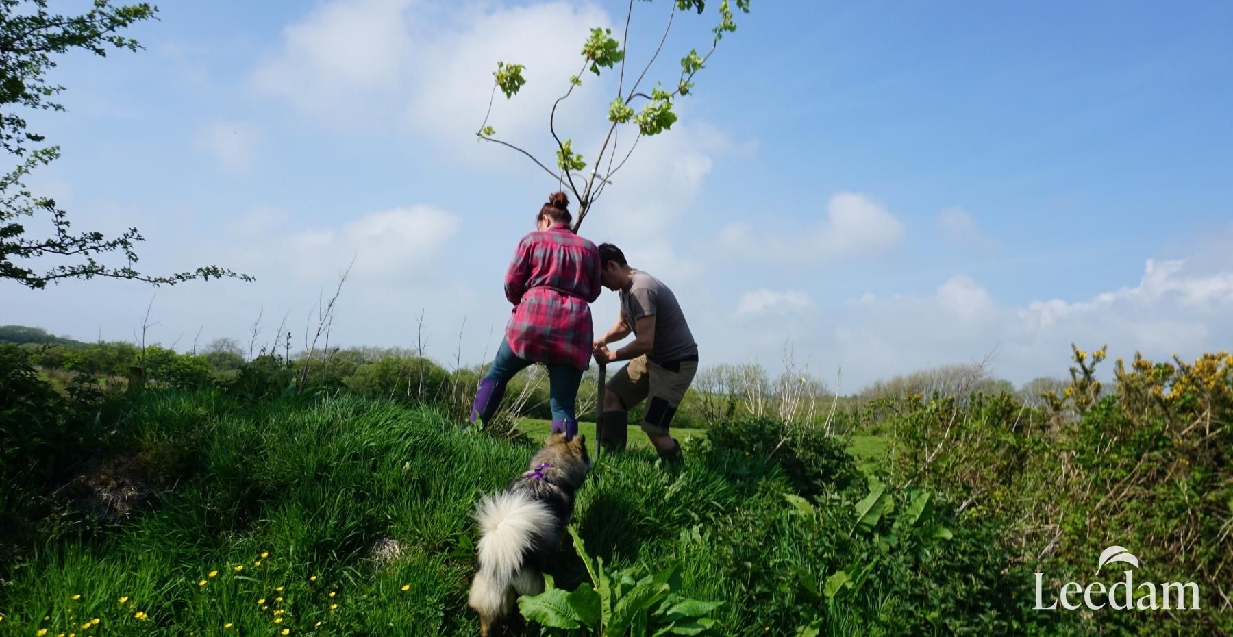 Finding the spot