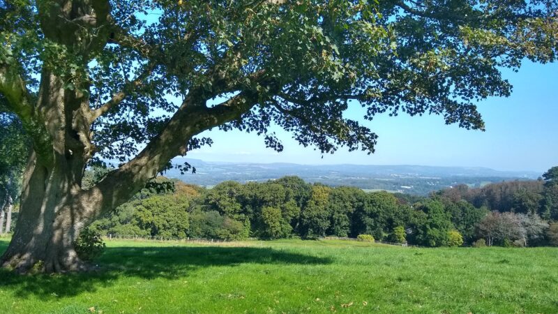 A view across the meadow at Cardiff Natural Burial Ground