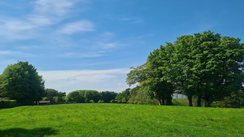 A bright, sunny day in Cardiff Natural Burial Meadow: a green field with tall trees on the right, a few scattered trees in the distance, and a clear blue sky with wispy clouds overhead.