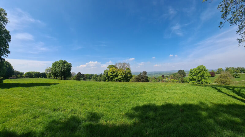 Wide green field with scattered trees under a bright blue sky and light clouds—this sunlit scene, part of the Cardiff Natural Burial Meadow, features tree shadows in the foreground and gentle hills in the distant background.