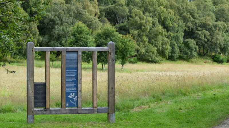 A wooden-framed information board stands in a grassy field at Delliefure natural burial ground, with tall green trees in the background. The peaceful, natural scene suggests a tranquil spot within the Cairngorms.