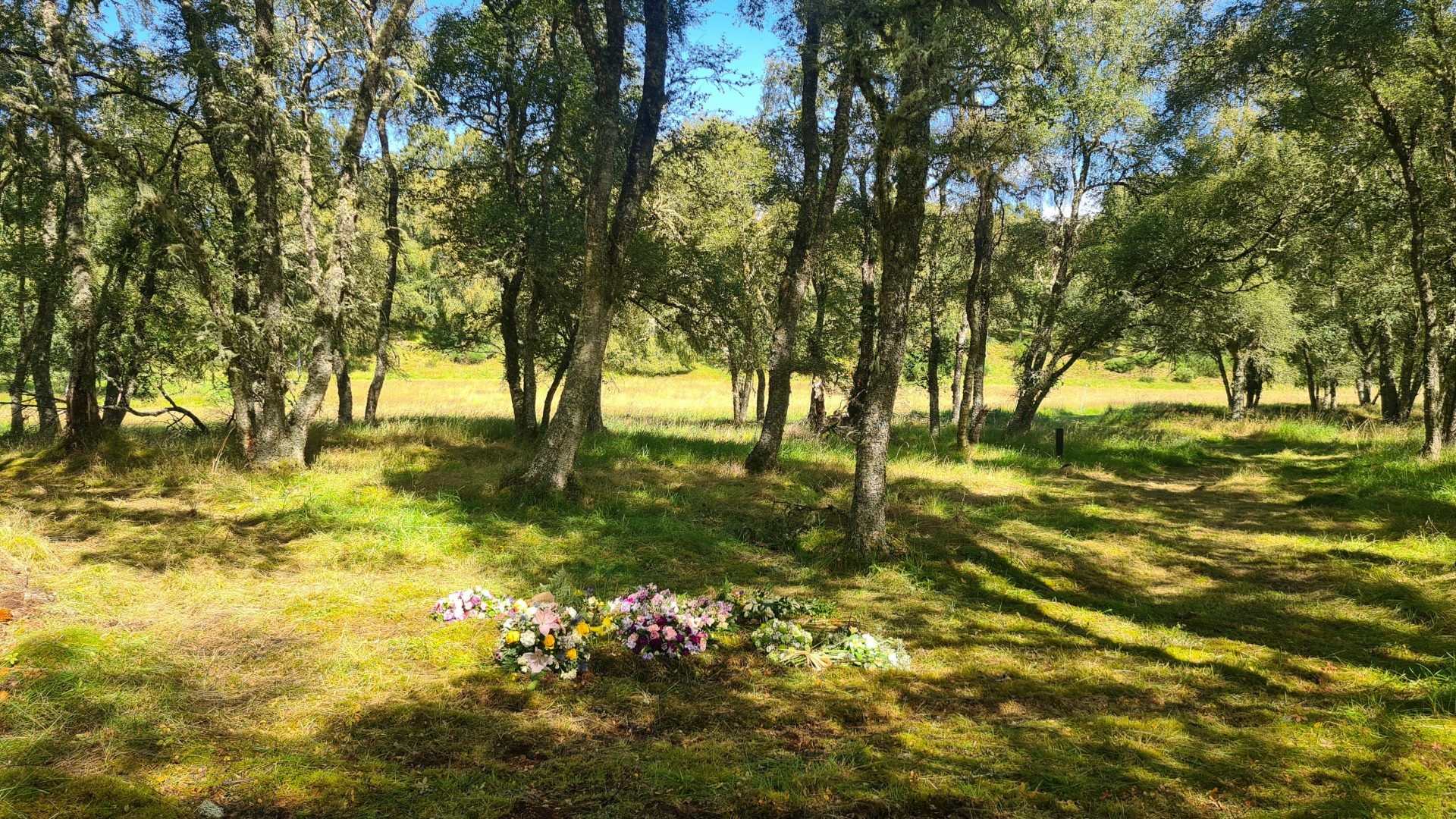 A grave in the Birchwood area with flowers laid on it
