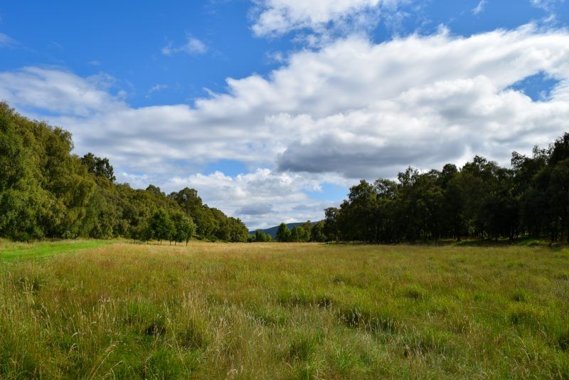 Delliefure natural burial ground in August 2033
