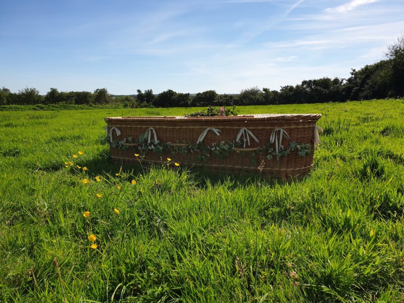 A beautiful wicker coffin placed on lush green grass with wild flowers around it at Pembrokeshire natural burial meadow