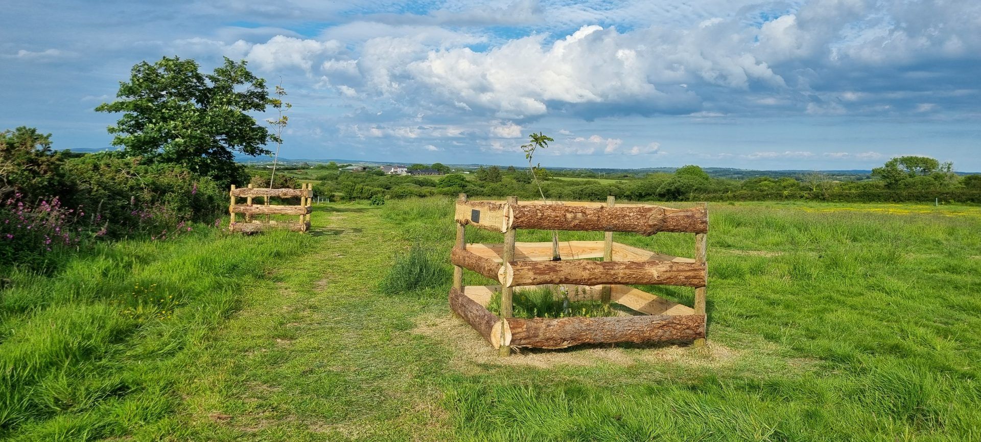 Memorial Tree at Pembrokeshire Natural Burial Ground