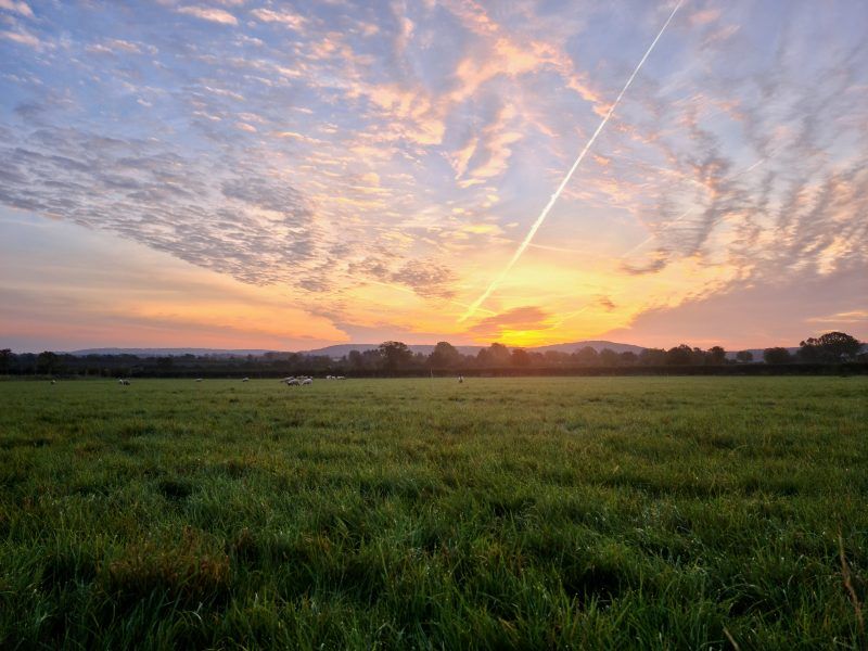 Aylesbury Vale Natural Burial Meadow Sunrise - October 2023