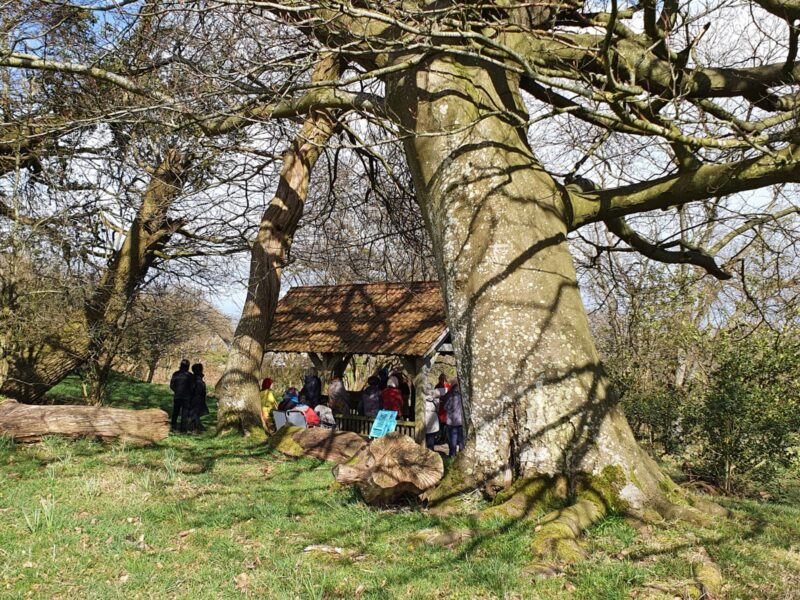 Friend led funeral in memorial shelter at Usk Natural Burial Meadow