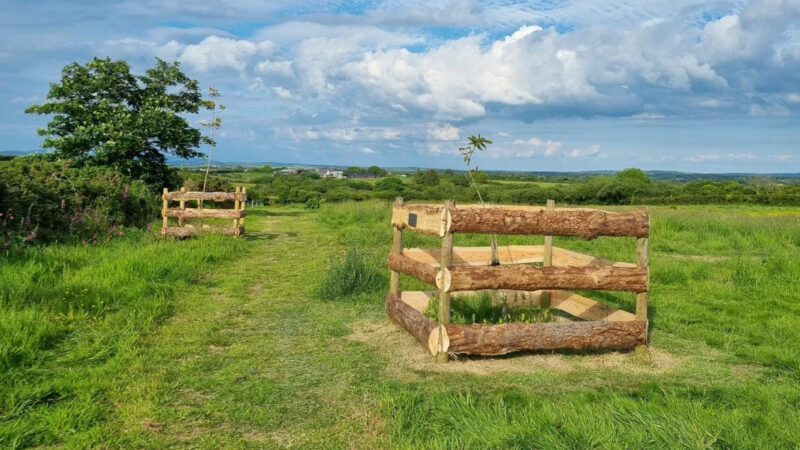 Two young trees, part of Memorials Pembrokeshire's natural burial meadow, are protected by wooden log fences in a grassy field under a partly cloudy sky, with a path winding between them and distant greenery in the background.