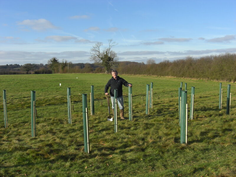 Tree planting day