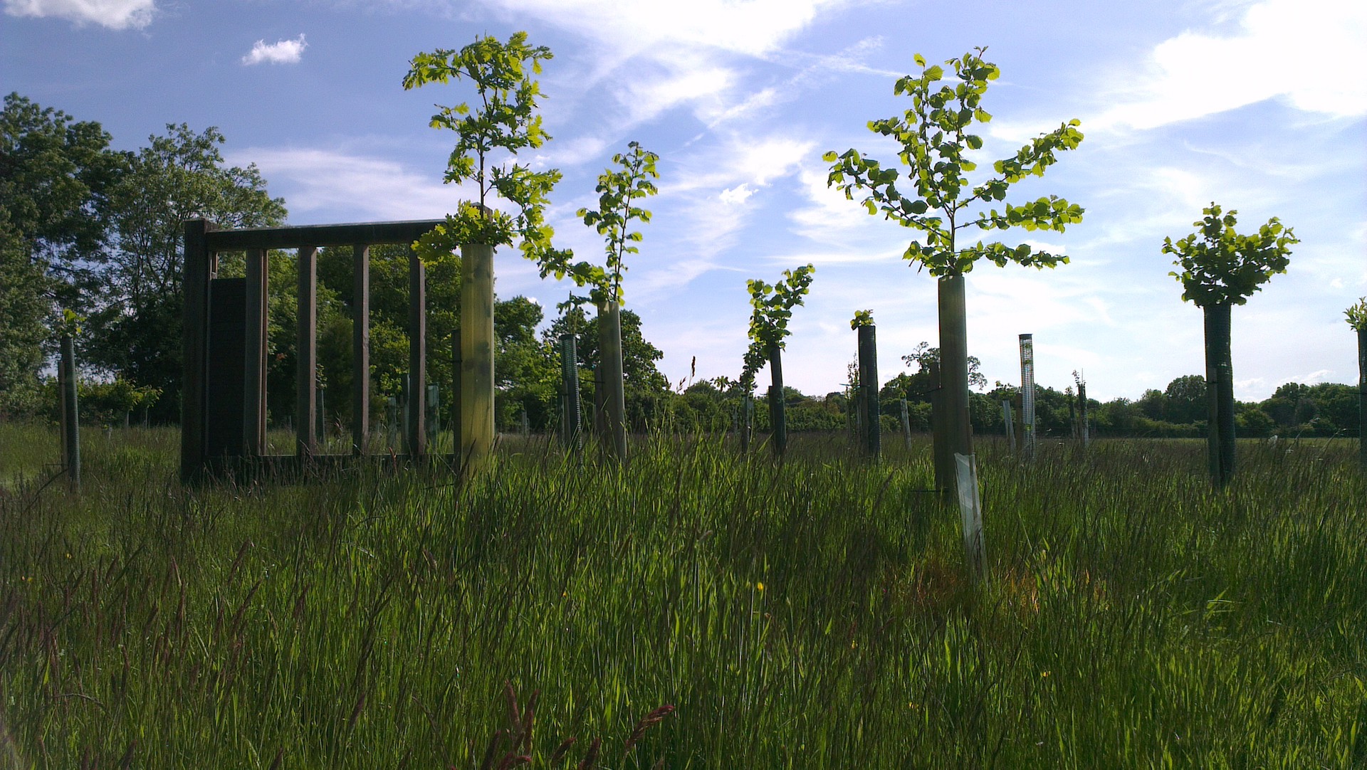 Henley natural burial ground with the newly planted trees next to the oak framed memorial panel