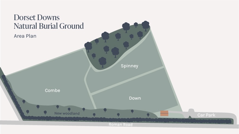 An area map of Dorset Downs, split into 3 areas - Combe, Down and Spinney