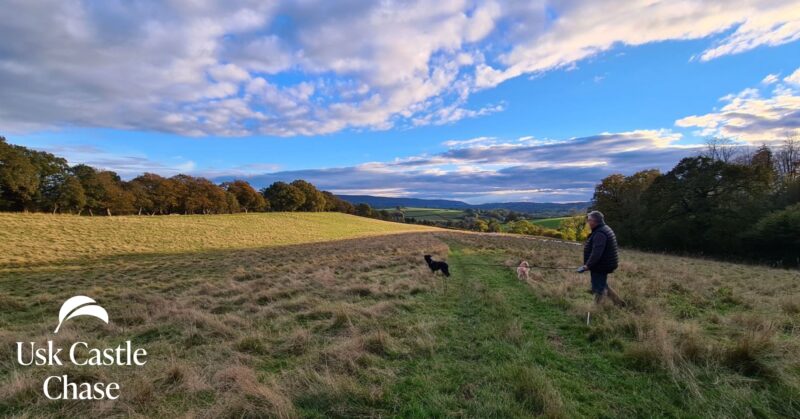 Bringing dogs to natural burial ground