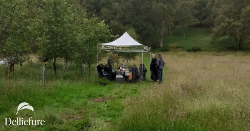 Picnic after funeral
