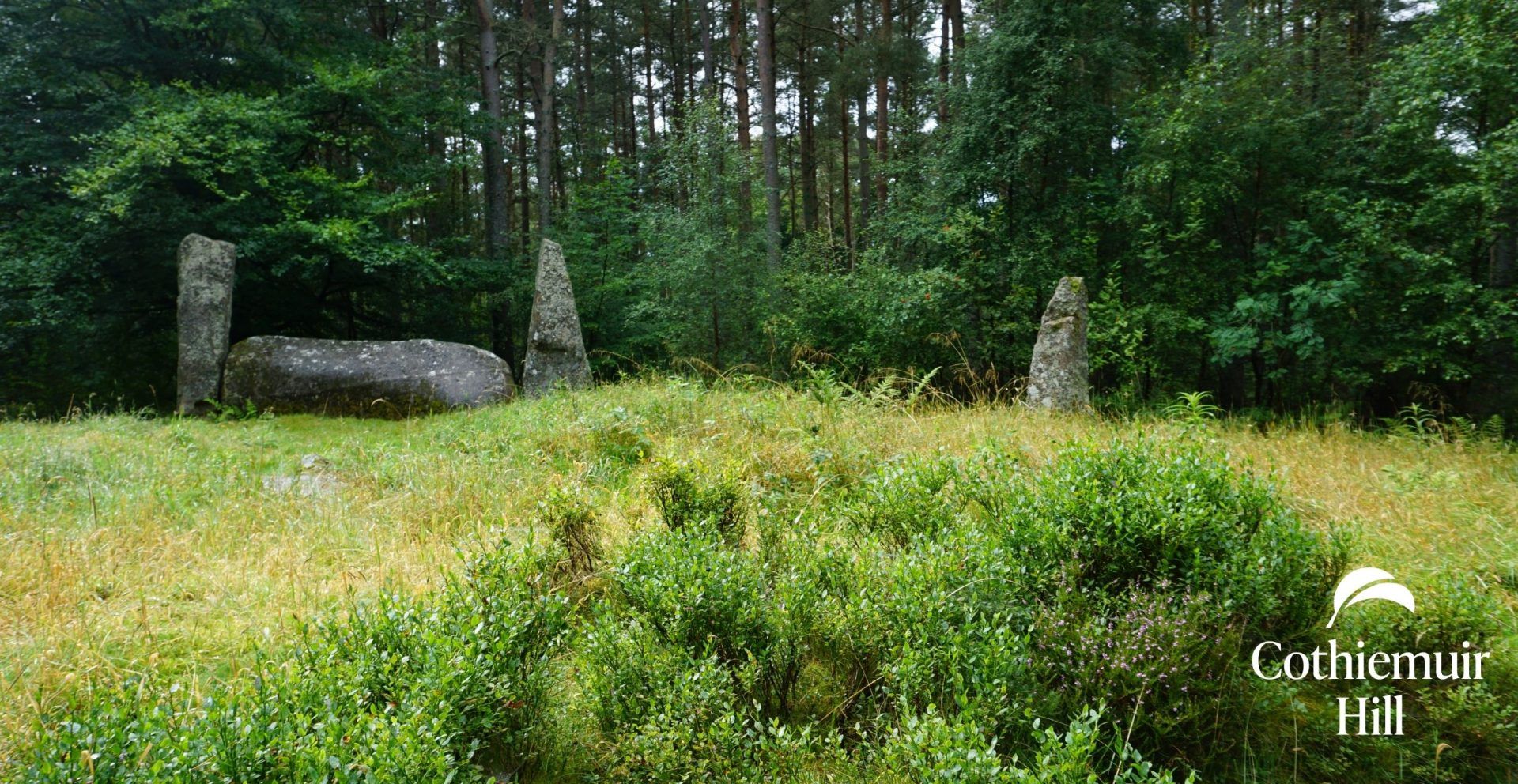 Standing Stones