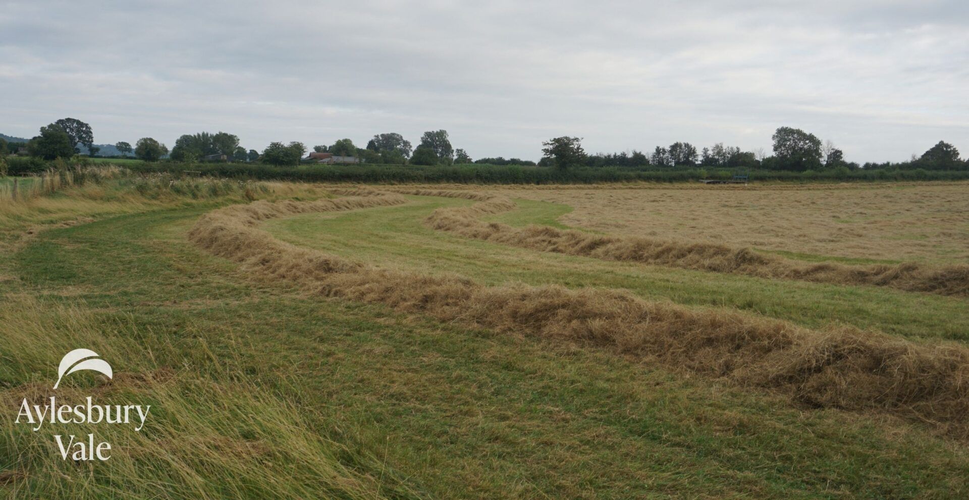 Hay Making in Meadow