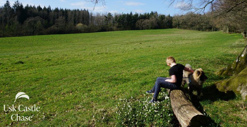 Boy sitting on a log at Usk Castle Chase