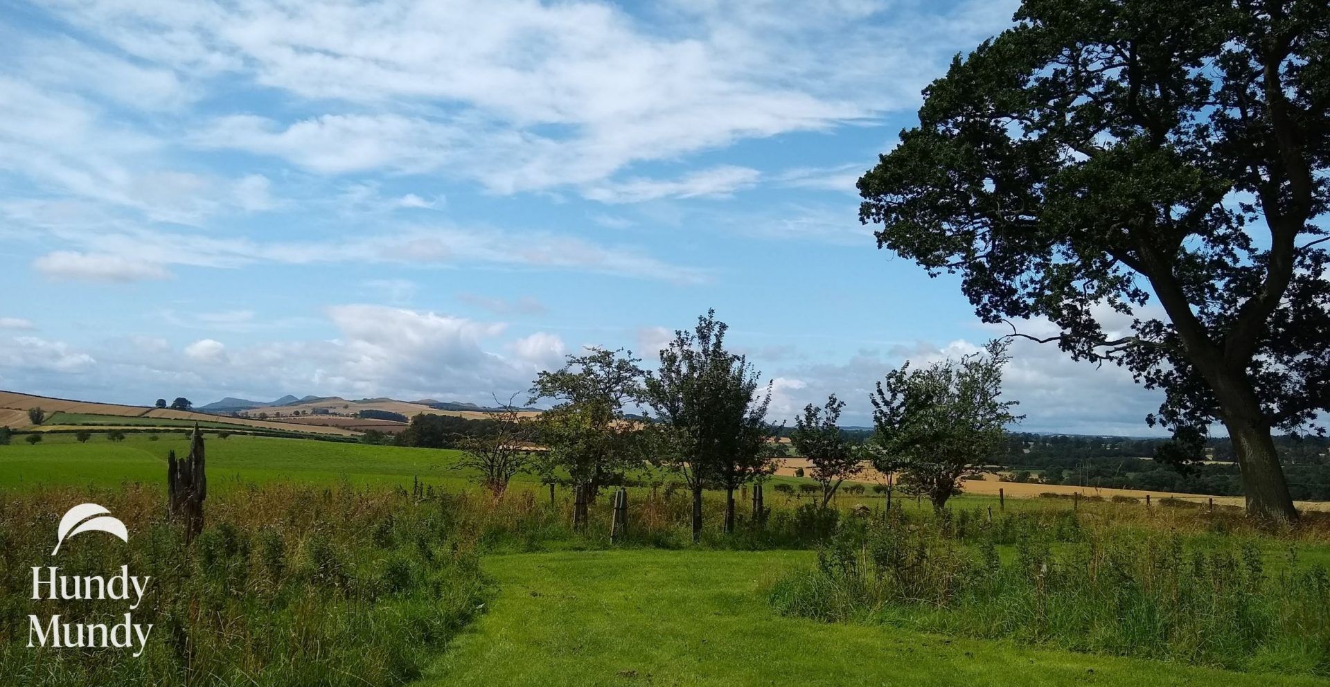 New tree specimens at Hundy Mundy