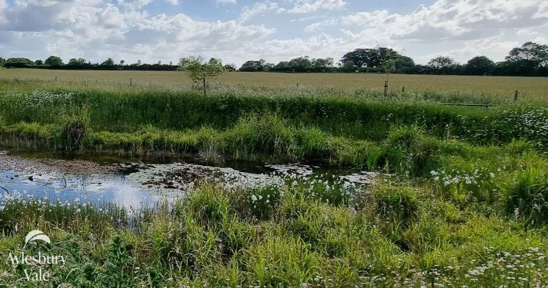 Aylesbury Vale Natural Burial Meadow