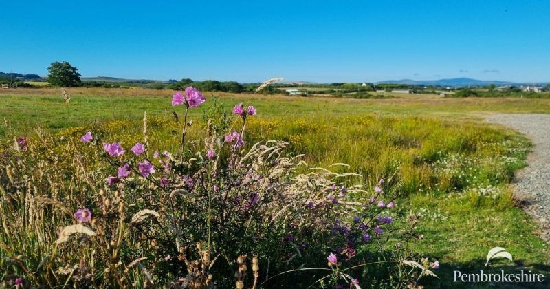 Pembrokeshire Natural Burial Ground