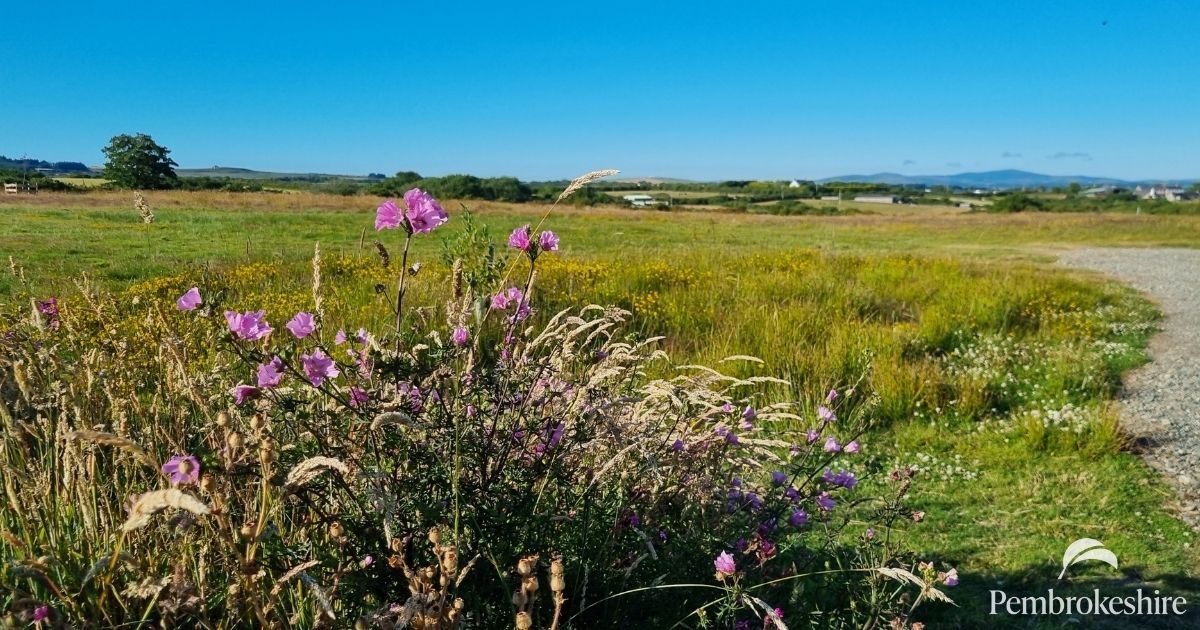 Pembrokeshire Natural Burial Ground