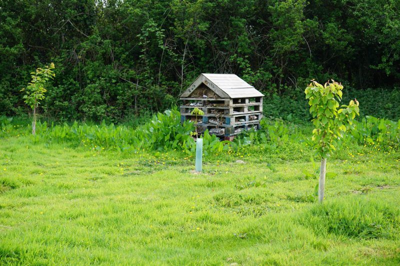 The Bug hotel featured in the Great Big Green Week event at Pembrokeshire natural burial ground