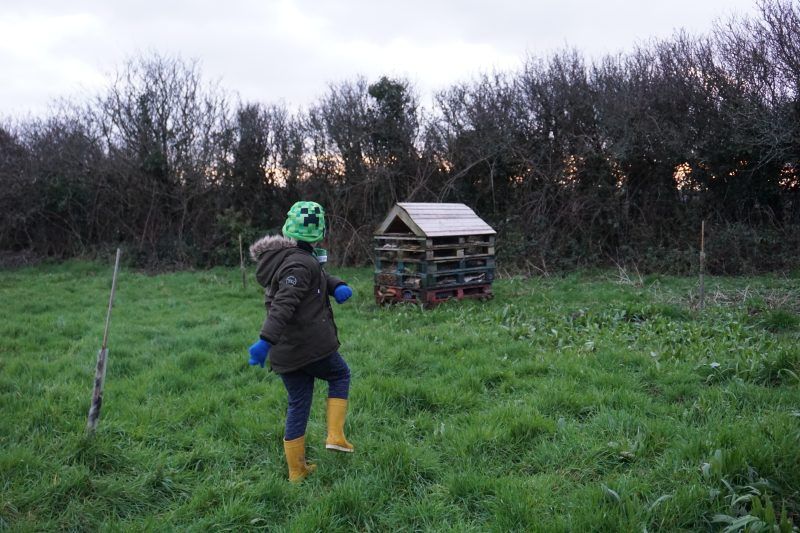 Jesse and his bug hotel at Pembrokeshire natural burial ground