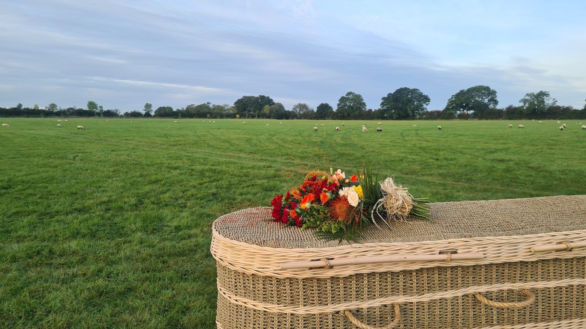 Woven coffin with locally grown flowers at Aylesbury Vale natural burial ground