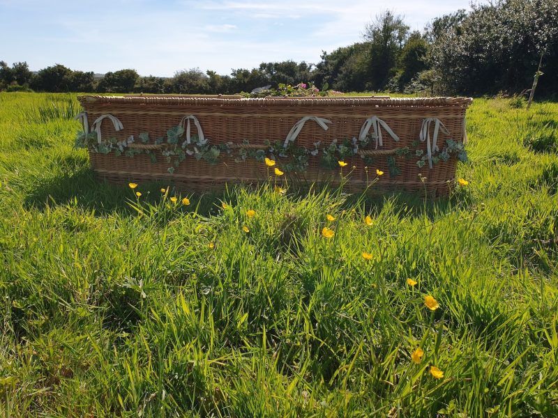 Wicker coffin laying on the grass, surrounded by buttercups at Pembrokeshire Natural Burial Ground