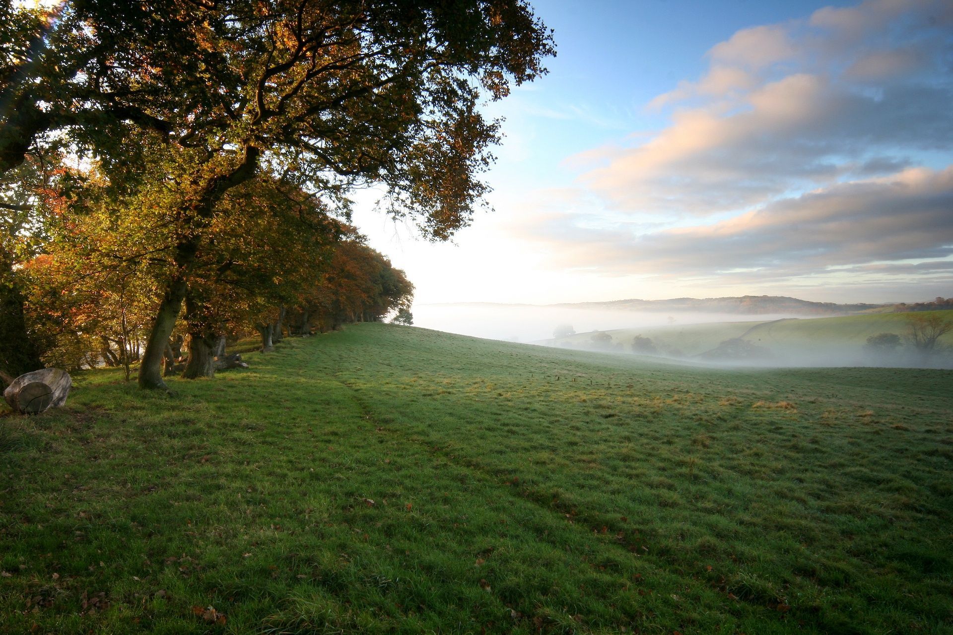Mist covers a green, grassy field at sunrise, hinting at Thin Places where sunlight illuminates autumn trees lining the left side. Rolling hills and a partly cloudy sky stretch into the distance.