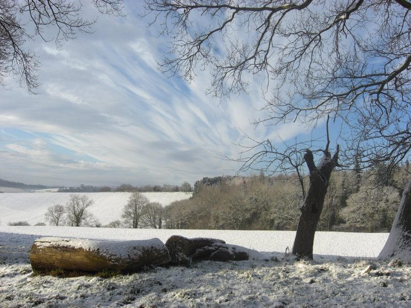 A snowy landscape with scattered trees, a fallen log in the foreground, and bare branches overhead evokes the peaceful serenity of Natural Burial Usk. Fields and woods stretch into the distance under a partly cloudy blue sky.
