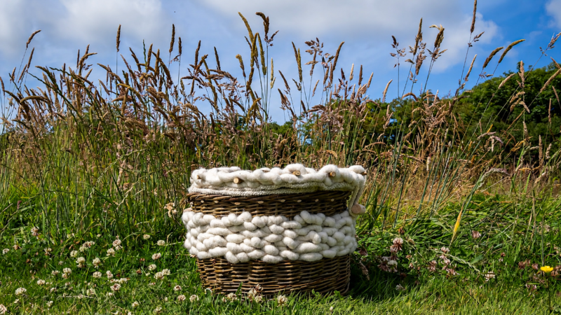 A woven basket filled and wrapped with thick, white wool sits in a grassy field buzzing with bees, surrounded by tall wild grasses and clover flowers under a partly cloudy sky.